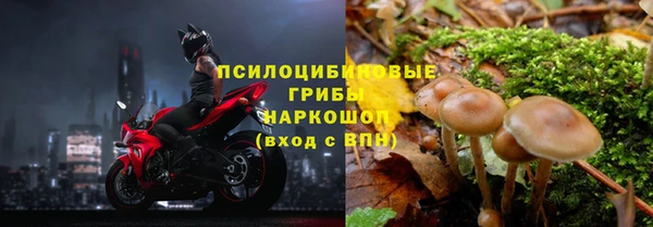 MESCALINE Заводоуковск
