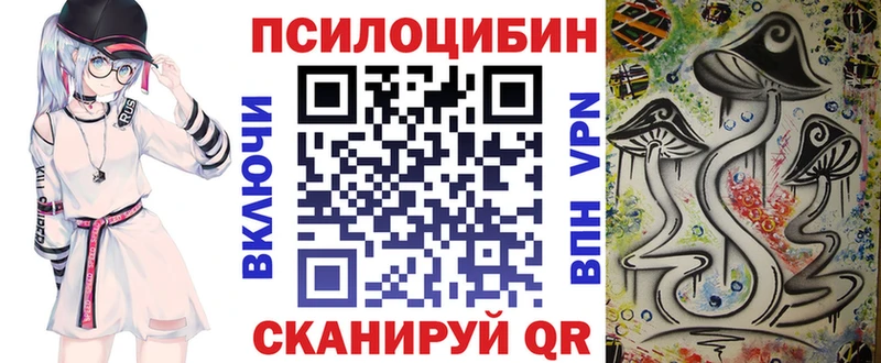 цены наркотик  мориарти какой сайт  Псилоцибиновые грибы Psilocybe  Димитровград 